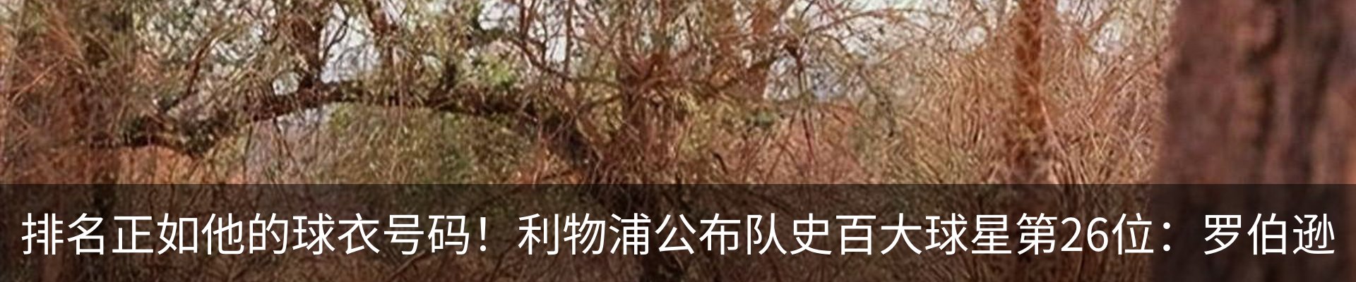 内页banner